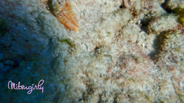 P8051924 copy.jpg