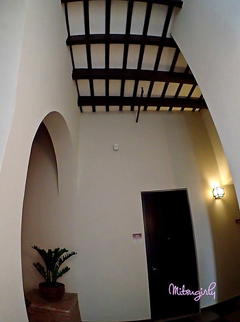 P4082438 copy-L.jpg