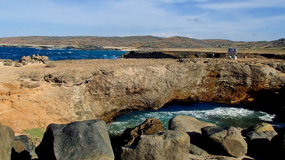 P8050644.jpg