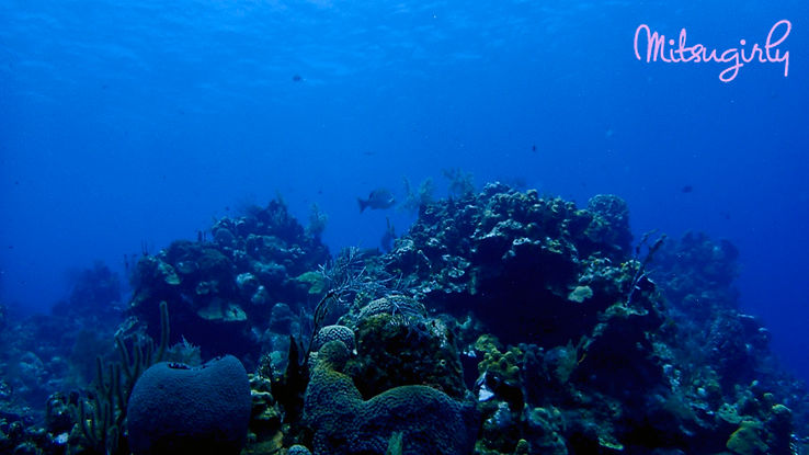 P8060443 copy.jpg