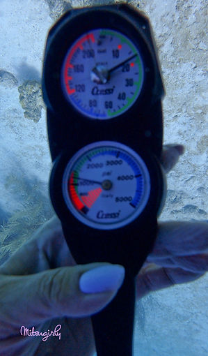 P8051880 copy.jpg