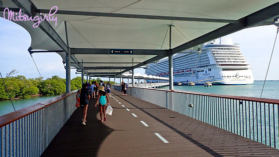 P8071011 copy.jpg