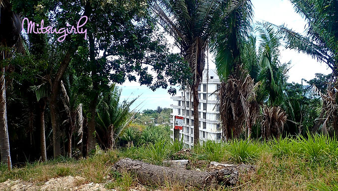 P4100615 copy.jpg