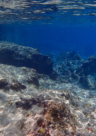 P4070903 copy.jpg