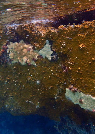 P4070899 copy.jpg