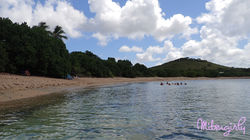 SHONEY BEACH