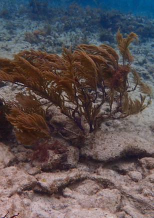 P4081551 copy.jpg