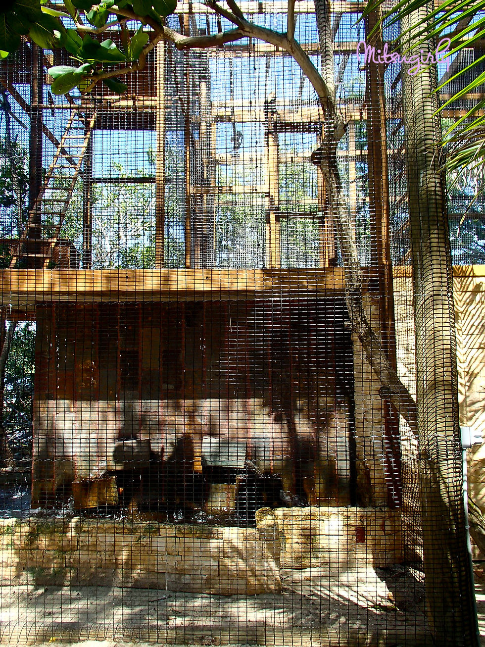PB110546 copy.jpg