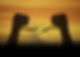 456840970-min-2_edited.jpg
