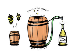 ‘Yeast makes winemakers lazy’, argues Stellenbosch Wine producer