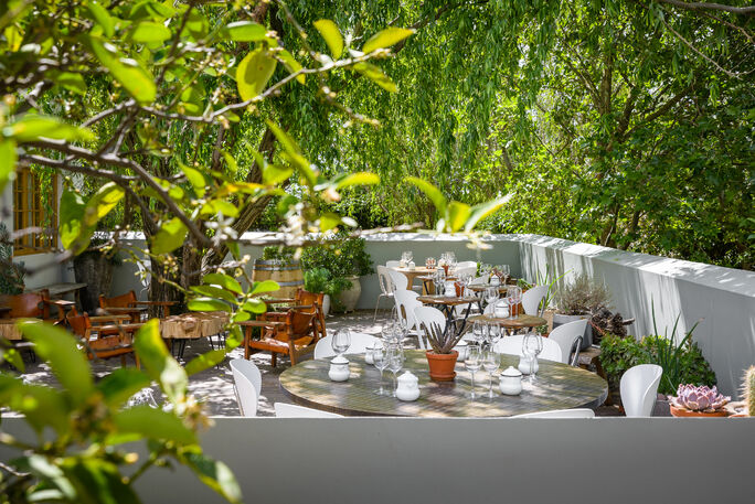 Noble Hill: Crafting Delicate Wines Amidst Nature's Splendour