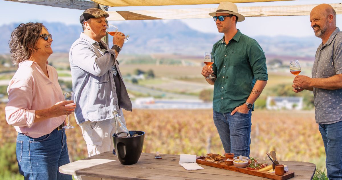 Benefits of Private Wine Tours in Stellenbosch: Exclusive Stellenbosch Wine Tours