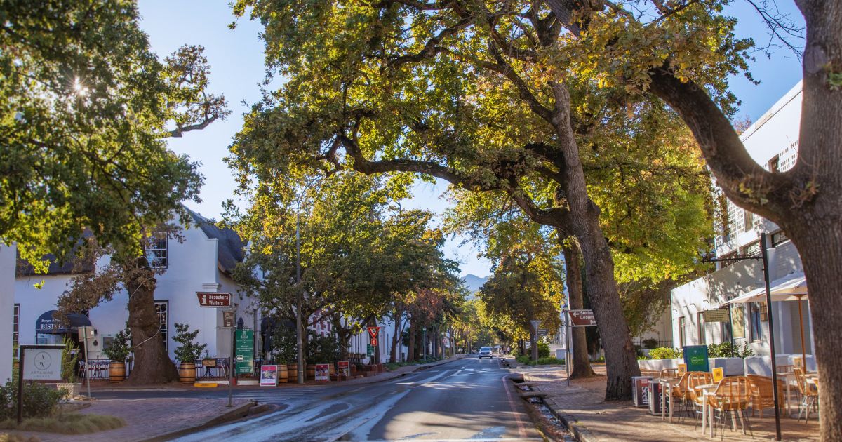 Explore the Magic of Cape Wine Tours