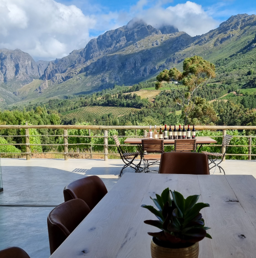 Exploring the Magic of Stellenbosch Wine Tasting Tours