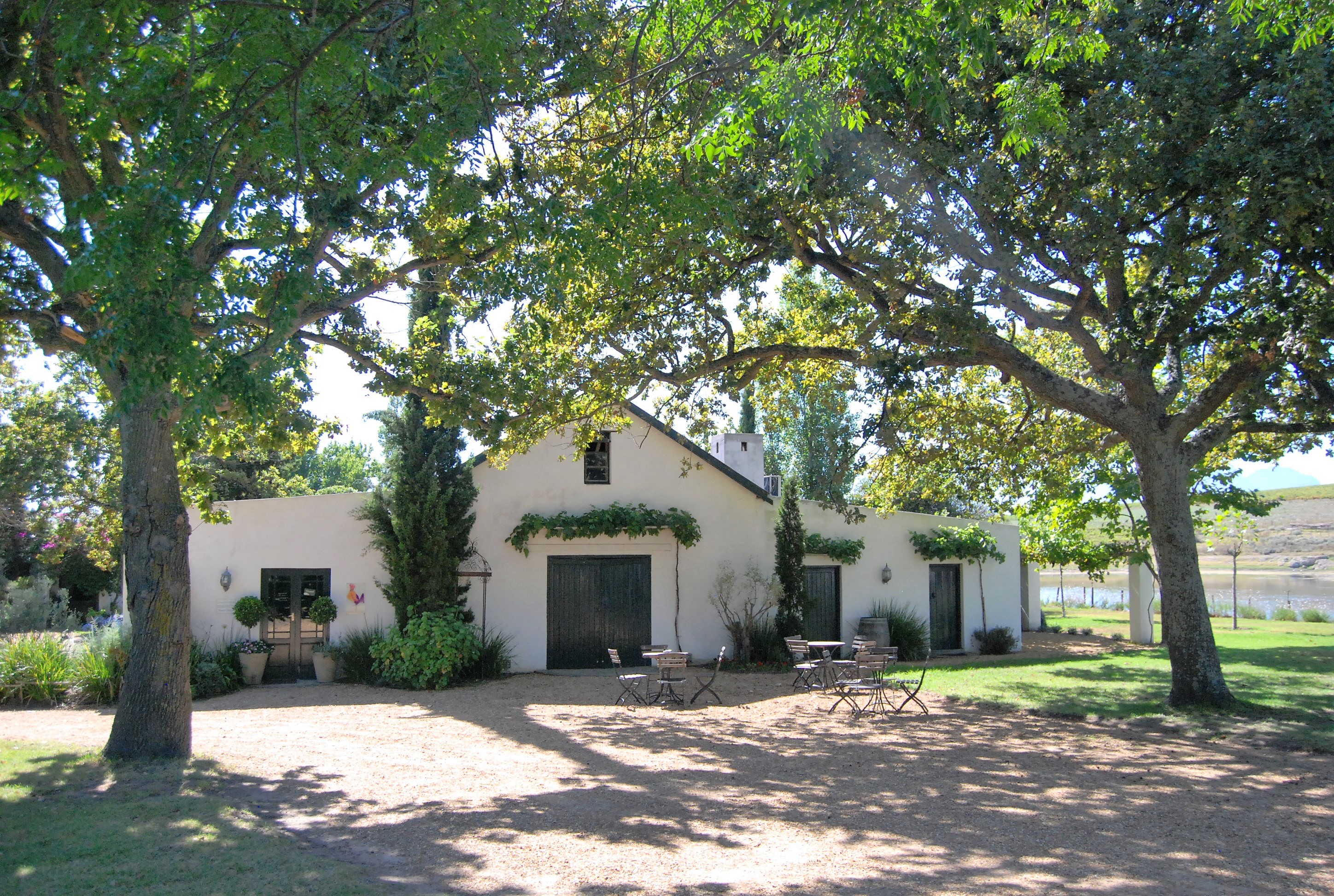 Top Wine Tasting Destinations Stellenbosch: Discover the Best Vineyards and Experiences