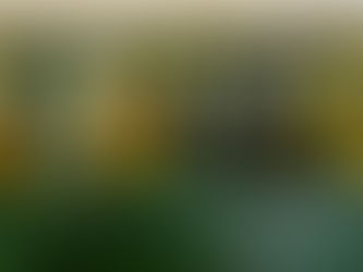 Se você está no casulo...