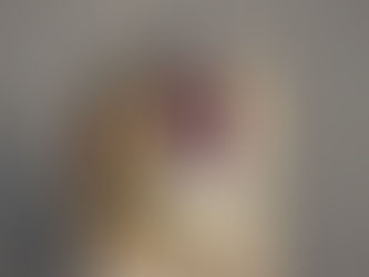 Why Structured Dog Training Helps Anxious or Reactive Dogs