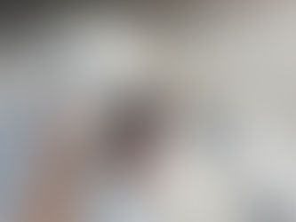 Calm Handler, Clear Dog: Why Your Emotional State Matters in Training