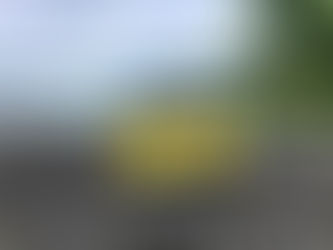 【出店報告】宇検村から、島々の宝物と感謝を込めて。