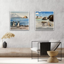 Penguins at Boulders Beach