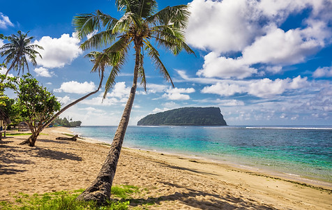 tropical-beach-with-a-coconut-palm-trees