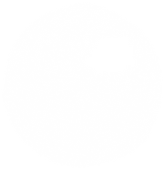 cageless bird 4.png