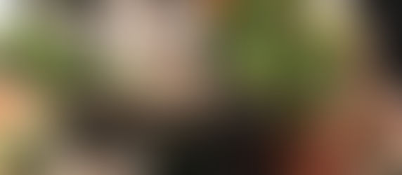 A tray that will bring y’all to tiers 