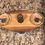 Thumbnail: Multi Species Wood Wine Rack