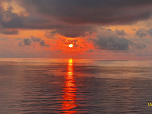 How to cope when there's no hope