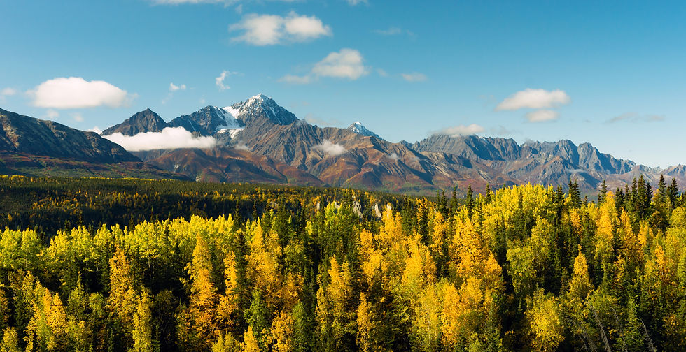 shutterstock_665337124.jpg