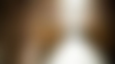 Absolución de delito de quebrantamiento de condena