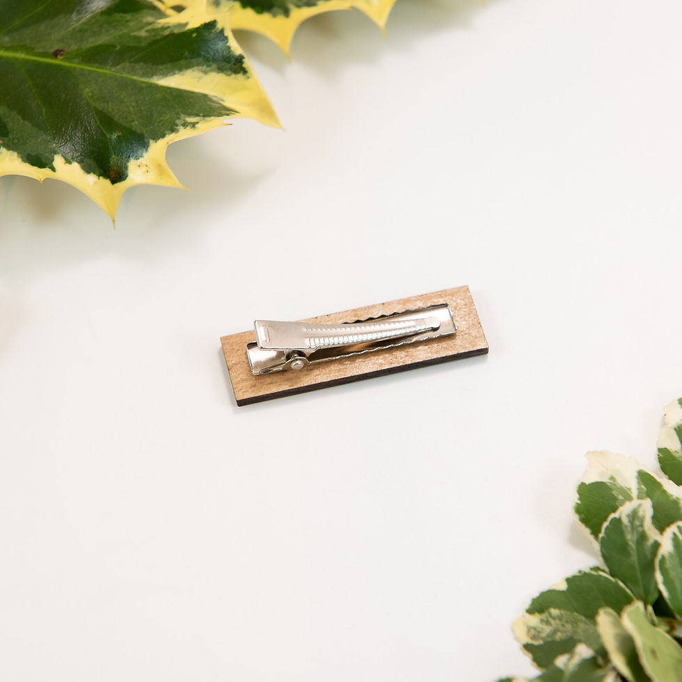 Thumbnail: Esthwaite Hairslide
