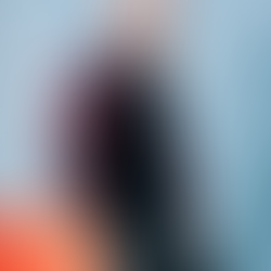 Spotlight on Professor Dimitri van der Linden 