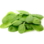 Espinacas 1