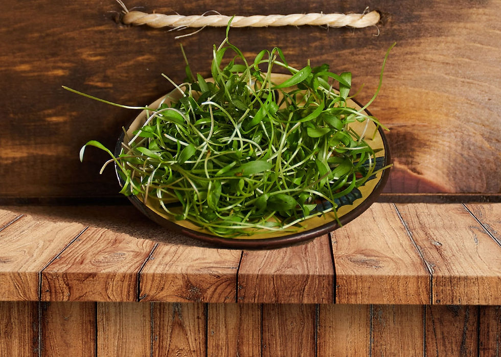 Brote de cilantro