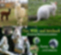 Tierpark-Preding.jpg