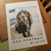 Brown dog