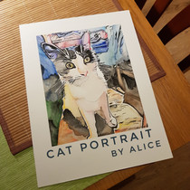 Black and white cat