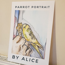 Yellow and green parrot