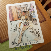 Brown and white small dog