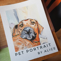 Brown dog face