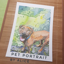 Brown dog