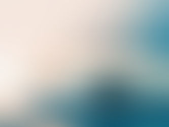 Water Rights, Intangible Assets and Industry Experience