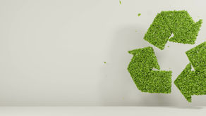 Waste Disposal Systems and Recycling Companies