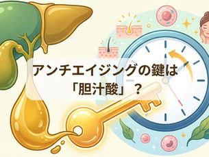アンチエイジングの鍵は「胆汁酸」?代謝、免疫、糖尿病予防まで叶える最強の体内物質