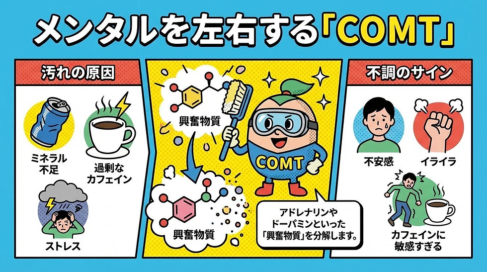 COMT遺伝子のケース