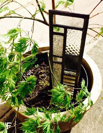 Thumbnail: Staked Garden Panel