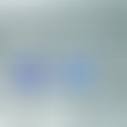 A Rant: 'Social Media in 2019' and The Pros and Cons of the Two Words That Changed The Way We Live