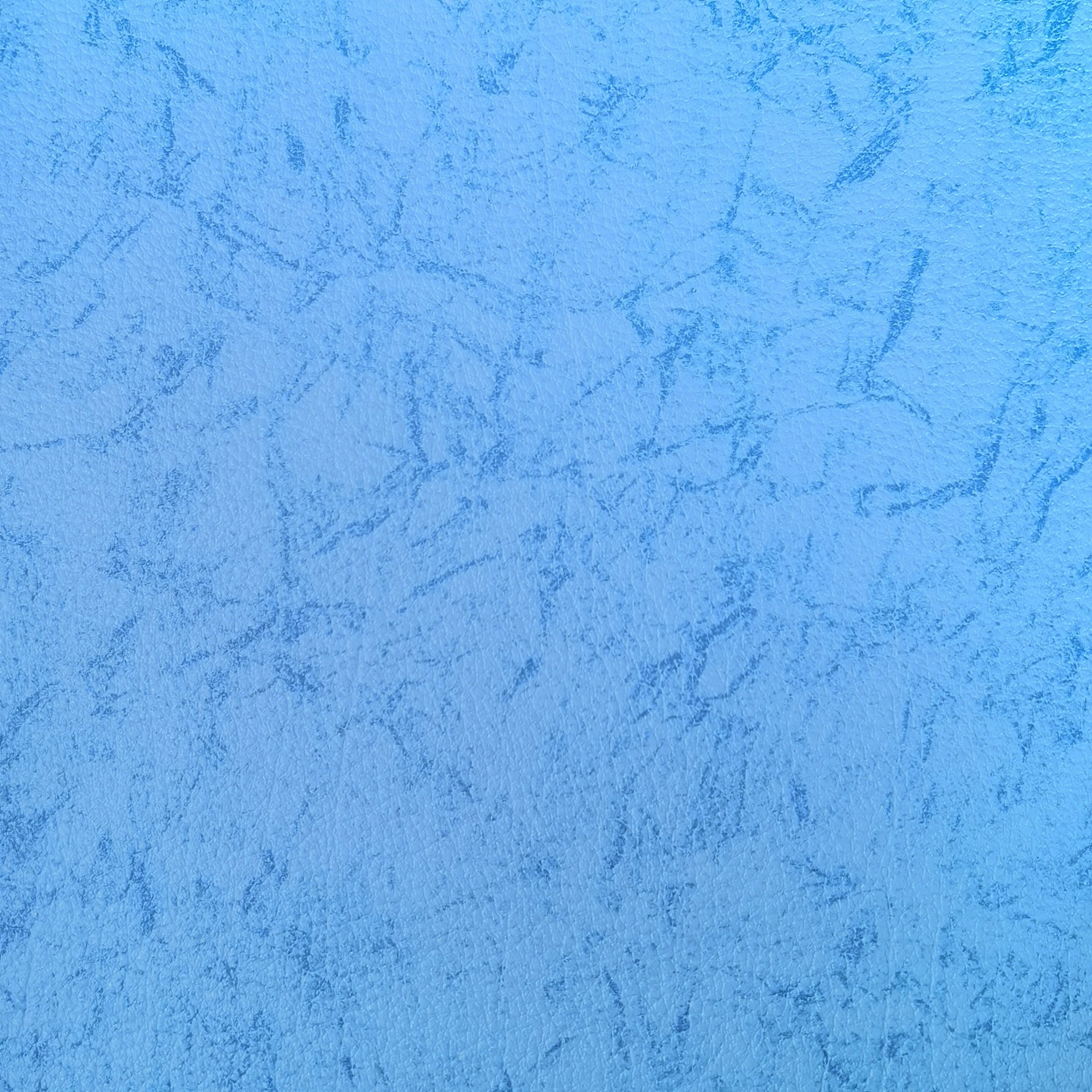 Edelweiss — BE 2005 L - BLUE