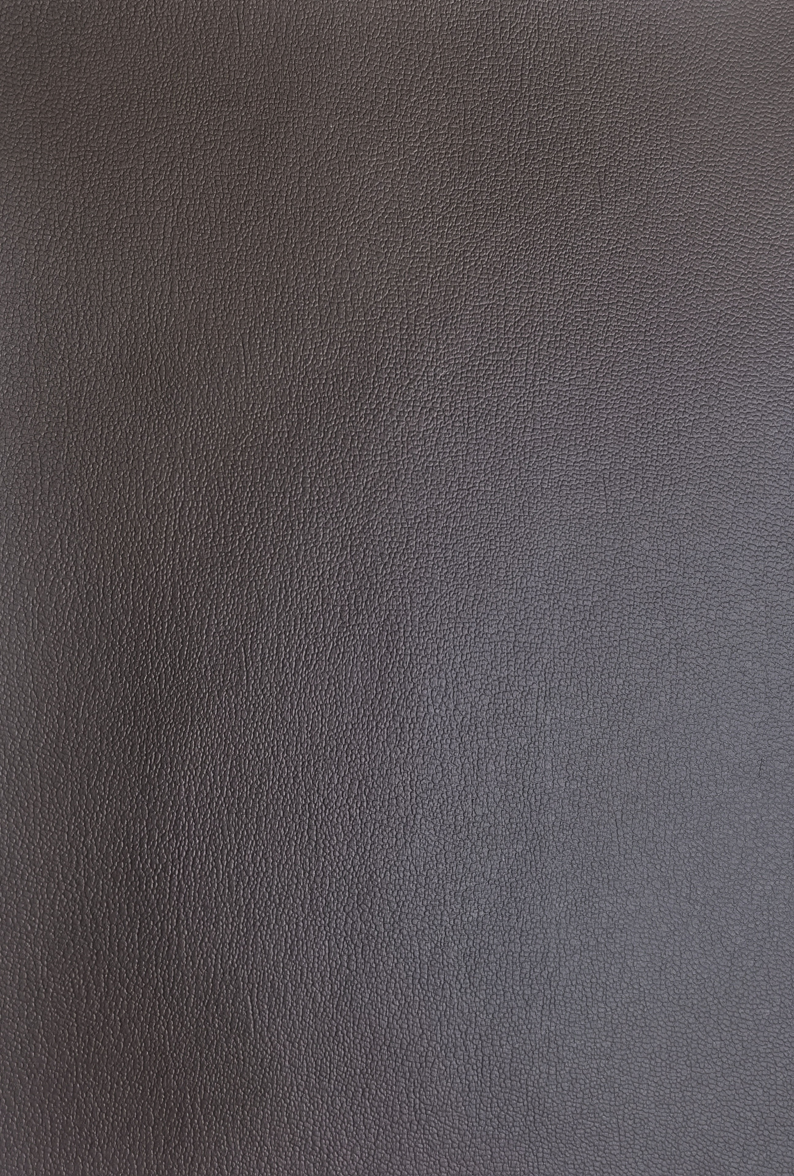 Lavish — BN 3370 / DARK BROWN